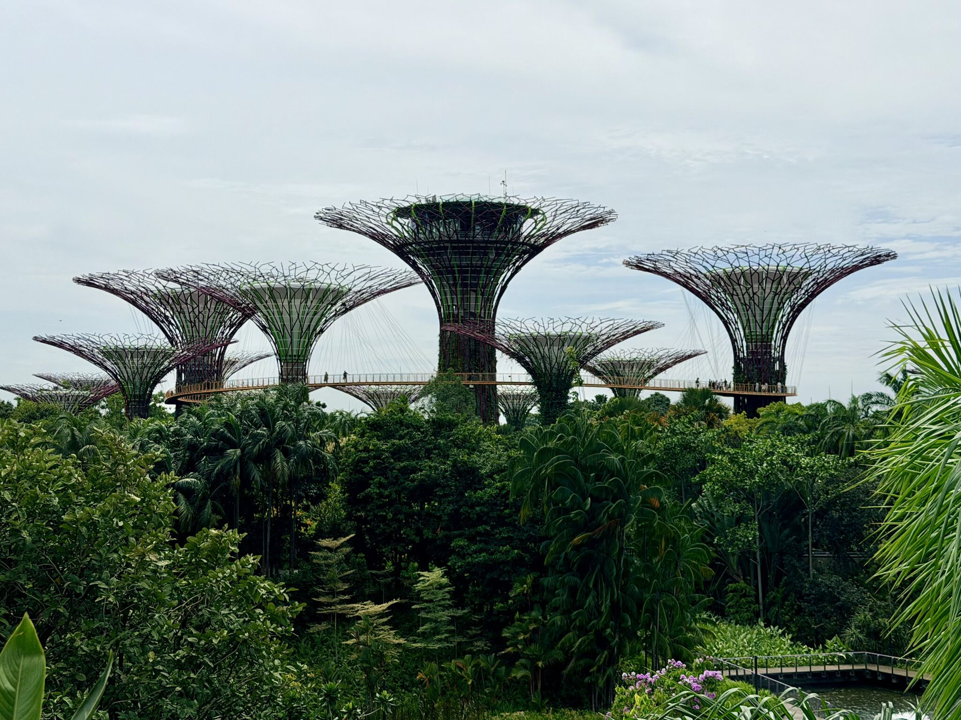 tookne2049 singapore